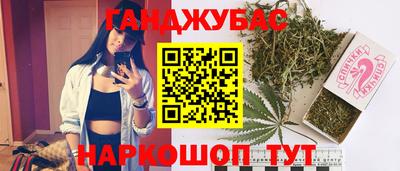 крисы Камень-на-Оби