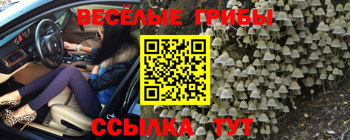 Нижний Тагил  Галлюциногенные грибы прущие грибы  Вход с VPN  Псилоцибиновые грибы Cubensis 