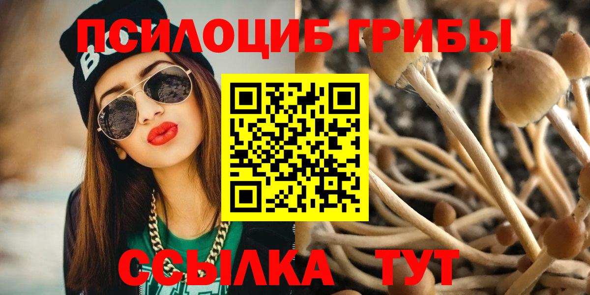 Галлюциногенные грибы прущие грибы Нижний Тагил